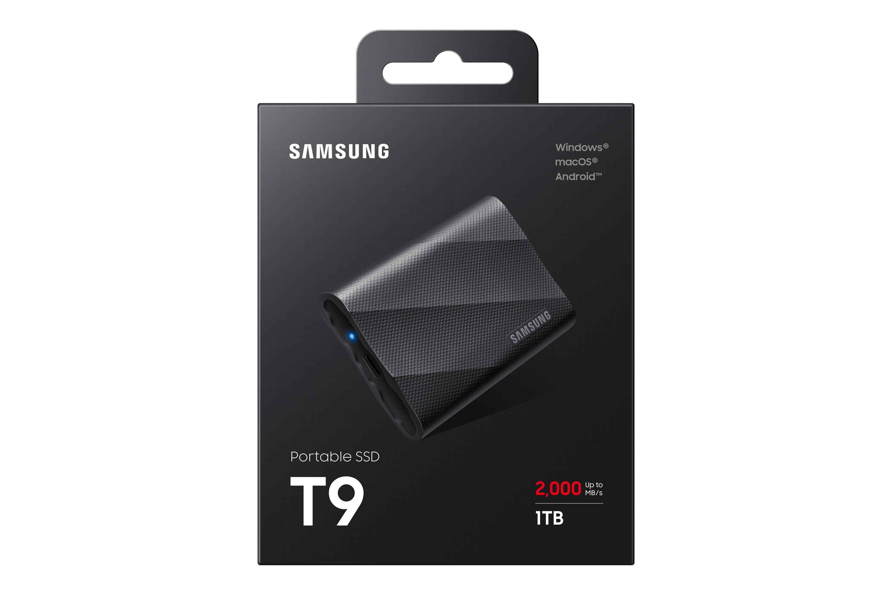 Samsung MU-PG1T0B 1 TB USB Type-C USB 3.2 Gen 2x2 Black
