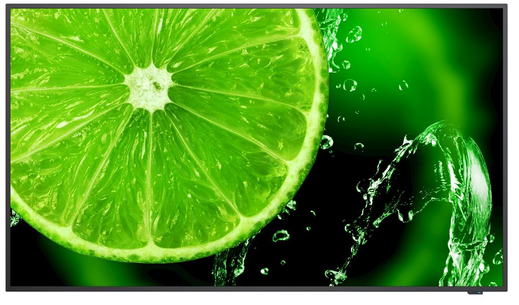 NEC MultiSync E498 124.5 cm (49") IPS 350 cd/m 4K Ultra HD Black 16/7