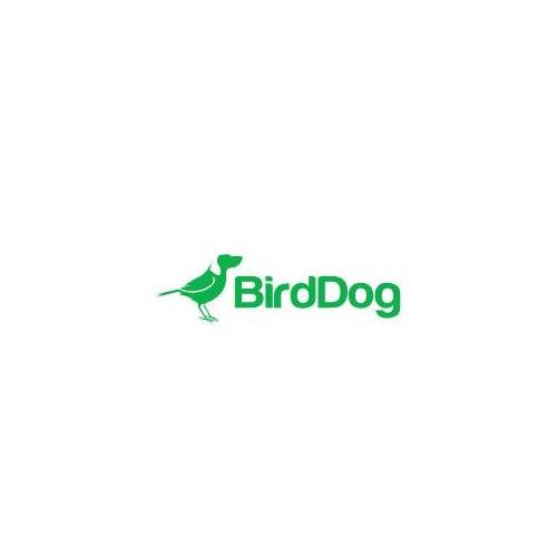 BirdDog BD-P-CM-WHITE camera mounting accessory Camera mount