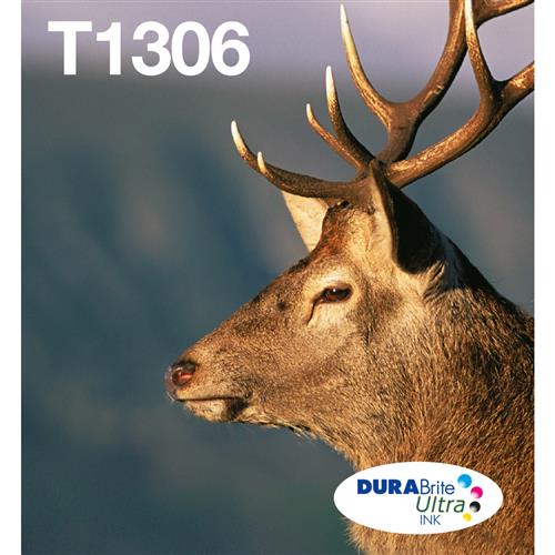 Epson Stag T1306 DURABrite Ultra Multipack 3-colours EasyMail Ink