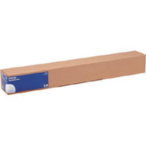 Photos - Other Consumables Epson WaterResistant Matte Canvas Roll 17" x 122 m 375g/m C13S042013 