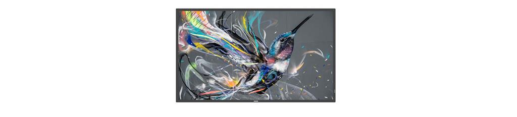Moniteur Videowall Philips 65BDL3511Q/00 65  4K Ultra HD