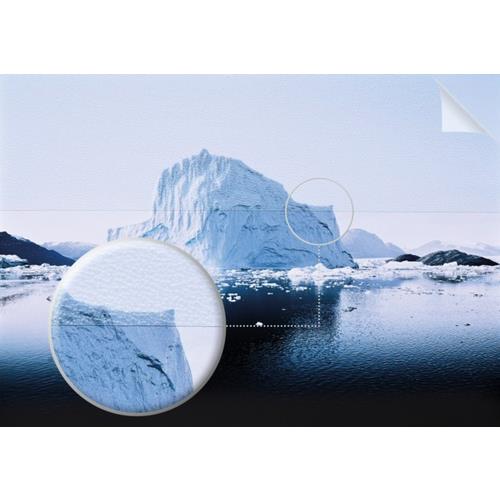 Neschen FILMOLUX FGS Transparent 50000 x 1400 mm Polyvinyl chloride (PVC)