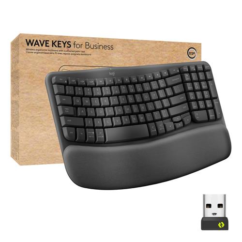 Logitech ERGO Wave Keys Full-size (100%) Wireless RF Wireless + Bluetooth Membrane QWERTY Graphite