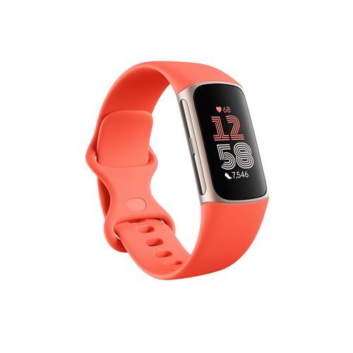 Fitbit Charge 6 AMOLED Wristband activity tracker Gold