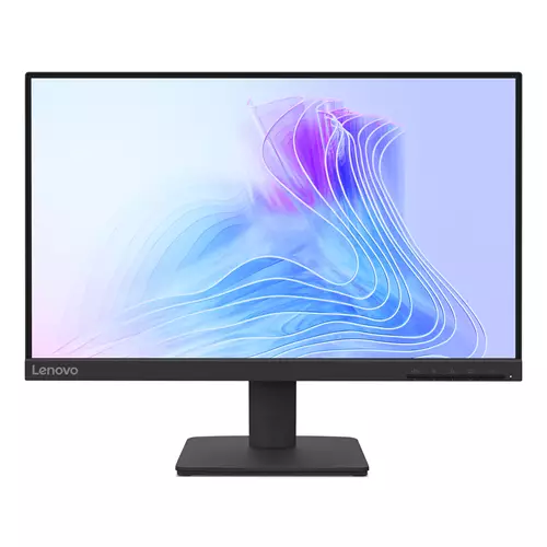 Lenovo L22-4e Monitor