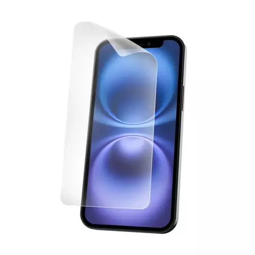 DICOTA D80541-AG9 mobile phone screen/back protector Anti-glare screen protector Apple 1 pc(s)