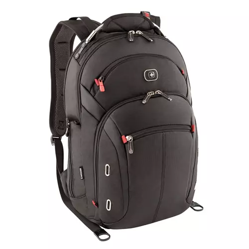 Wenger/SwissGear 600627 laptop case 38.1 cm (15") Backpack case Black