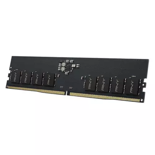 PNY Performance DDR5 PC44800 5600MHz 16G memory module 16 GB 1 x 16 GB 288-pin DIMM