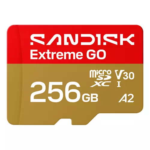 SanDisk Extreme GO 256 GB MicroSDXC UHS-I