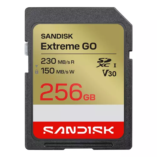 SanDisk Extreme GO 256 GB SDXC UHS-I