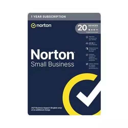 NORTON SMALL BUS 2.0 250GB 20DEV ESD