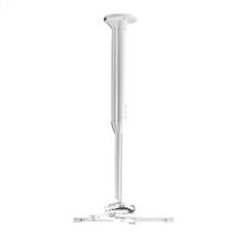 Chief Projector Mounts | Chief KITEC045080W project mount Ceiling White | In Stock