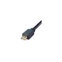 DP Building Systems 267193 video cable adapter 2 m Mini DisplayPort