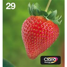Epson Strawberry Multipack 4-colours 29 EasyMail | In Stock