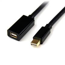 Startech Displayport Cables | StarTech.com 6ft (2m) Mini DisplayPort Extension Cable  4K x 2K Video