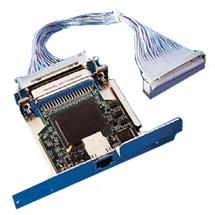Blue, Purple | Zebra ZebraNet 10/100 Print Server. Internal. Connectivity technology:
