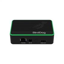 BirdDog Flex 4K OUT video servers/encoder | In Stock