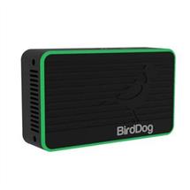 BirdDog Flex 4K IN video servers/encoder | In Stock