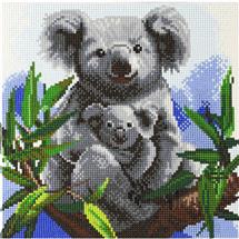 CRAFT Buddy Koala Bears | In Stock | Quzo UK