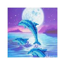 CRAFT Buddy Moonlight Dolphins | In Stock | Quzo UK