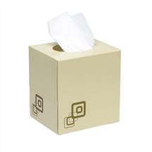 ValueX Facial Tissues | Valuex Facial Tissue Cube 2 Ply 70 Sheet White (Pack 24) 1103003