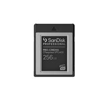 SanDisk PRO-CINEMA 256 GB CFexpress | In Stock | Quzo UK
