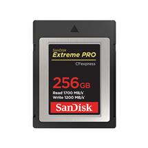 SanDisk SDCFE256GGN4NN. Capacity: 256 GB, Flash card type: CFexpress,