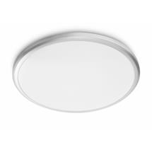 Silver | Philips Functional Spray Ceiling Light 12 W | In Stock