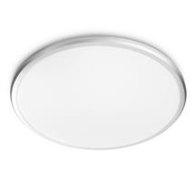 Philips Ceiling light | Philips Functional Spray Ceiling Light 17 W | In Stock