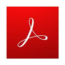 Adobe Acrobat Pro Renewal English 12 month(s) | Quzo UK
