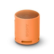 Wireless Speakers | Sony SRSXB100  Wireless Bluetooth Portable Speaker, Durable IP67