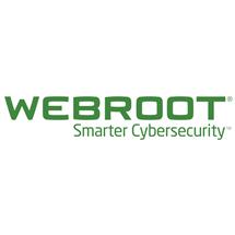 Webroot Endpoint Protection 1 license(s) 1 year(s)