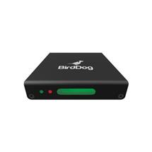 BirdDog MINI Active video converter | In Stock | Quzo UK