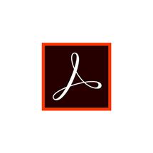 Adobe Standard 2017 Desktop publishing 1 license(s) English