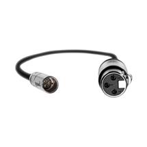 Mini XLR Male to XLR Female Audio Cable - Black | In Stock