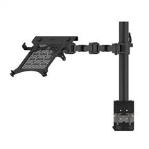 Lindy Laptop/Notebook Display Arm | In Stock | Quzo UK