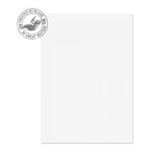 Paper | Blake Premium Business Paper Ice White Wove A4 297x210mm 120gsm (Pack