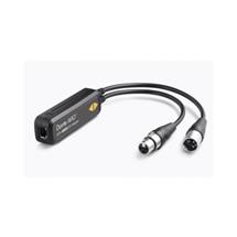Dante AVIO AES3 IO Adapter 2x2 | In Stock | Quzo UK