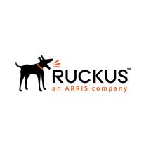Ruckus  | RUCKUS Networks Analytics 1 license(s) Subscription 1 year(s) 12