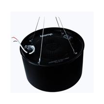 Ceiling Speakers | Network Plenum Loudspeaker Black | In Stock | Quzo UK