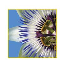 Sihl PosterColor X White Matt | In Stock | Quzo UK