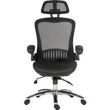 Harmony | Harmony Executive Mesh Office Chair Black - 6956 | In Stock