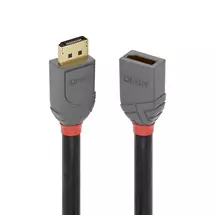 Displayport Cables | Lindy 2m DisplayPort 1.4 Extension Cable, Anthra Line