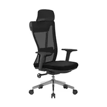 Moritz | Nautilus Designs Moritz High Back Mesh Ergonomic Executive Chair With