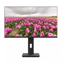 V7 23.8" FHD 1920x1080 IPS LED Monitor | In Stock | Quzo UK