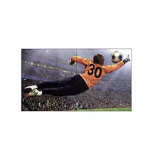 LG Portable Pa | LG 49VL5G-M video wall display Indoor | In Stock | Quzo UK