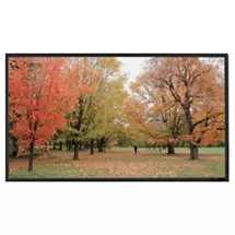 Sapphire AV SFSC266-SB-AT projection screen 3.07 m (121") 16:9