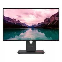 Lenovo ThinkVision T2440 LED display 60.5 cm (23.8") 1920 x 1080
