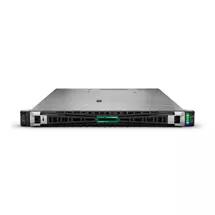 HPE ProLiant DL365 Gen11 server Rack (1U) AMD EPYC 9124 3 GHz 64 GB